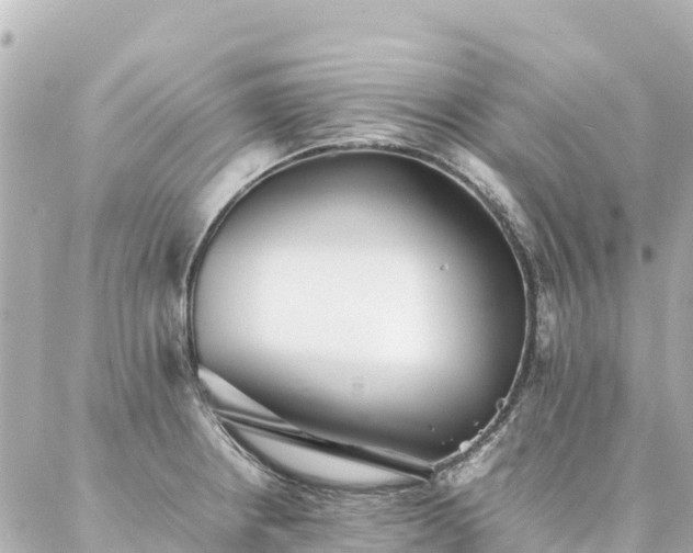 X0000086991234200704231837