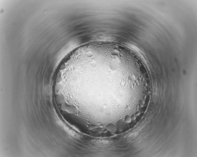 X0000086991235200704231837