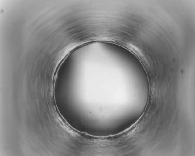 X0000086991236200704231837