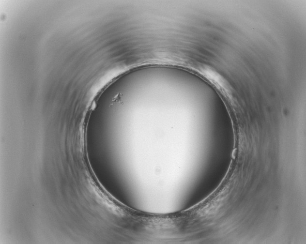 X0000086991238200704231837