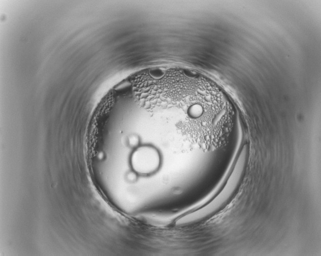 X0000086991239200704231837