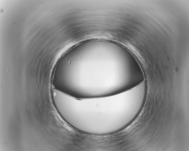 X0000086991240200704231837