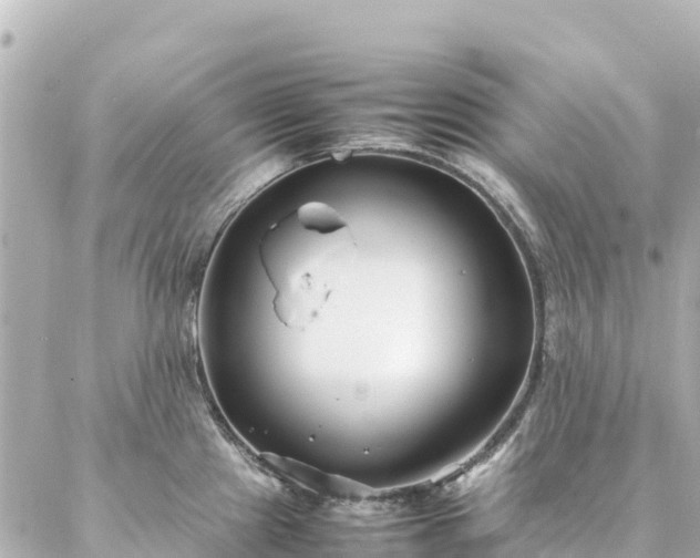 X0000086991241200704231837