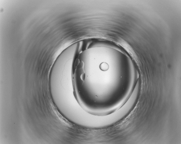 X0000086991242200704231837