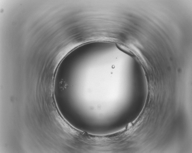 X0000086991244200704231837