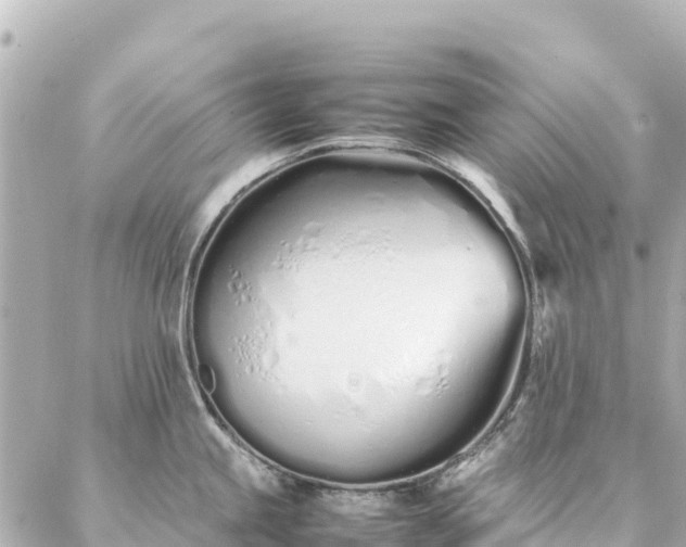 X0000086991245200704231837