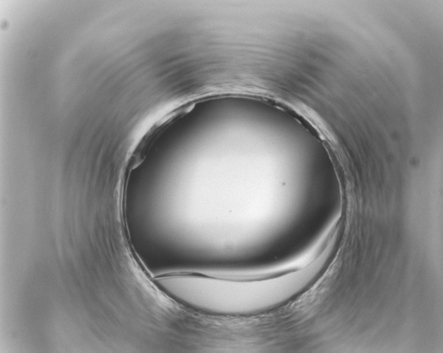 X0000086991246200704231837