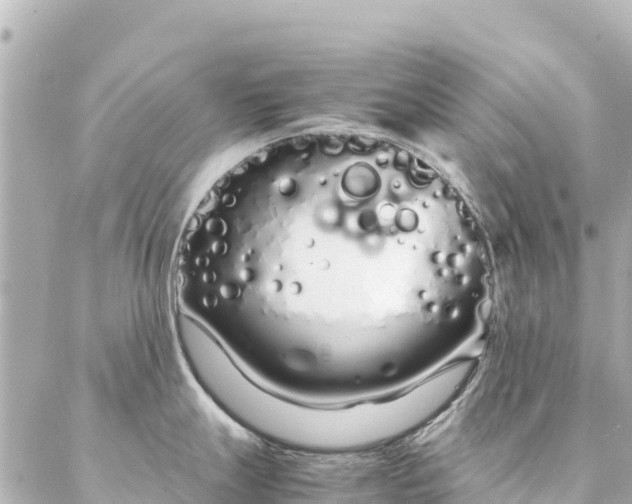 X0000086991247200704231837