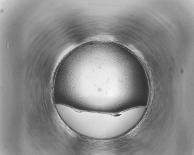 X0000086991248200704231837