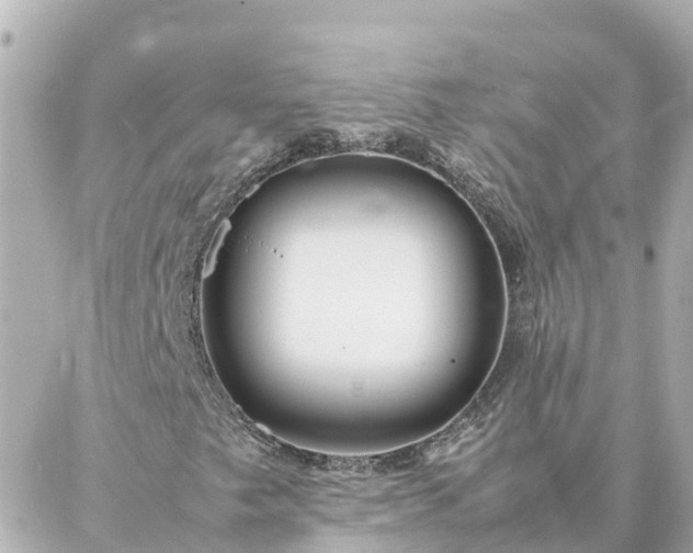 X0000086991249200704231836