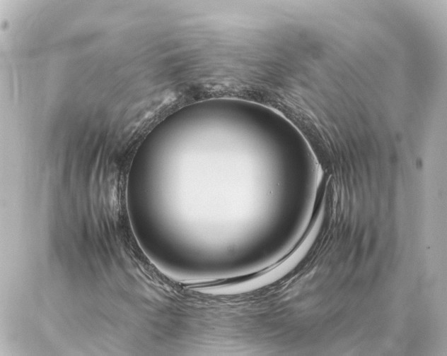 X0000086991250200704231836