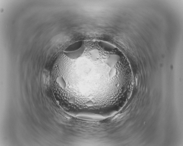 X0000086991251200704231836