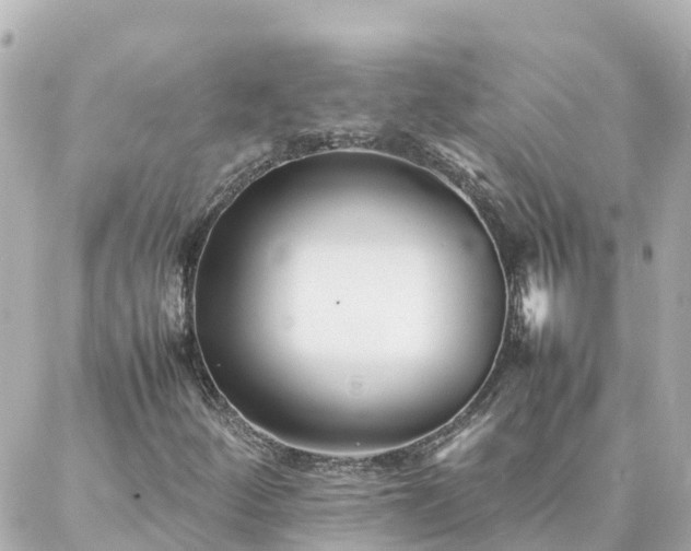 X0000086991252200704231836