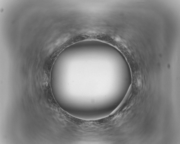 X0000086991253200704231836