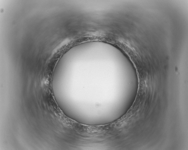 X0000086991254200704231836