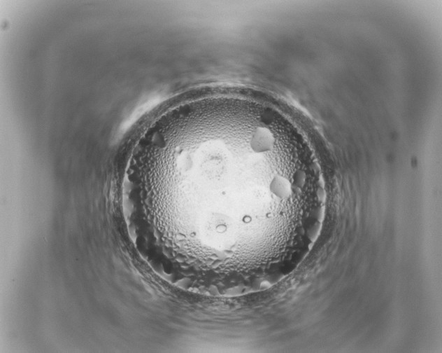 X0000086991255200704231836