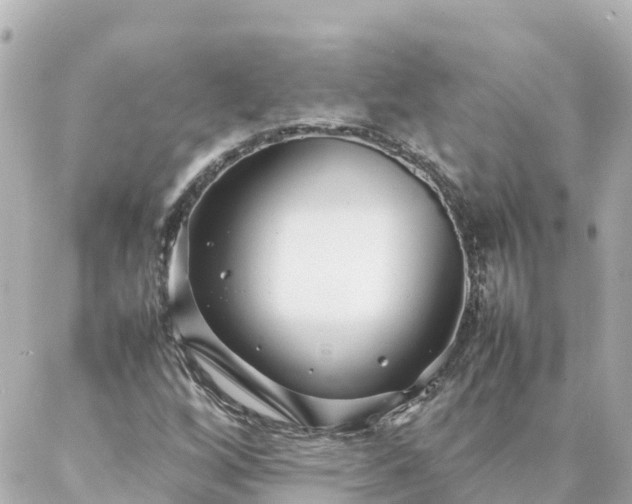 X0000086991256200704231836