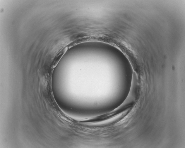 X0000086991257200704231836