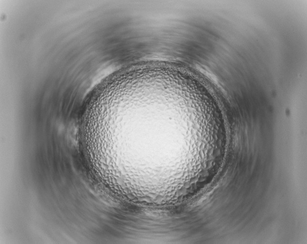 X0000086991258200704231836