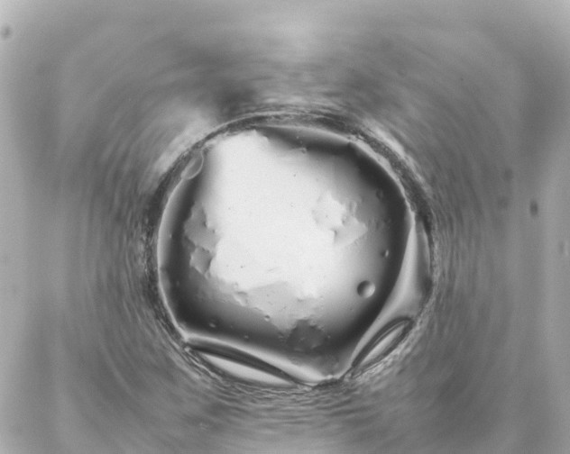 X0000086991259200704231836