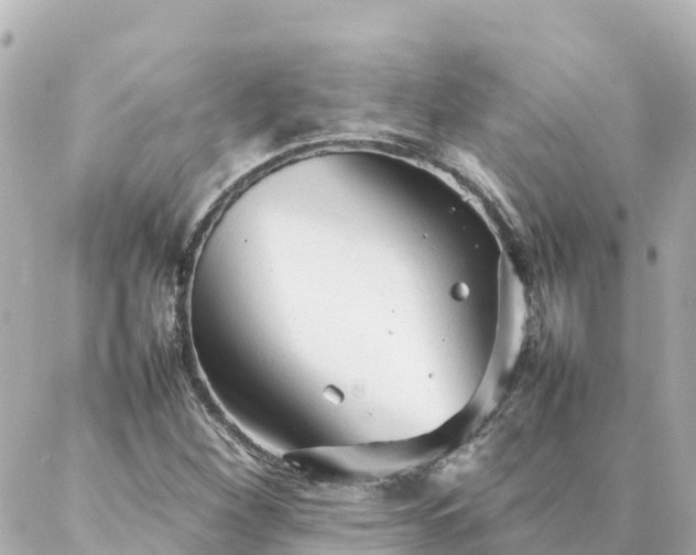 X0000086991260200704231836