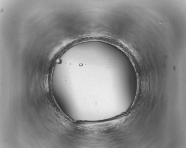 X0000086991262200704231836