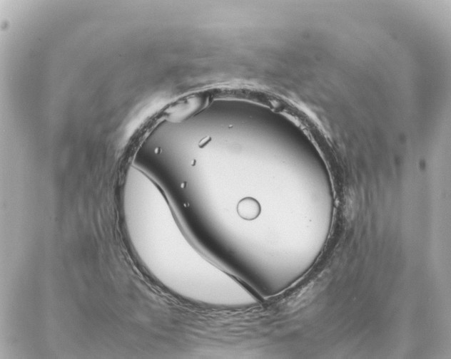 X0000086991263200704231836