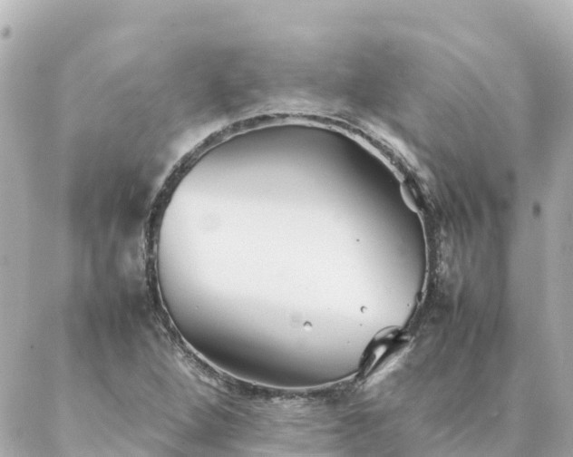 X0000086991264200704231836