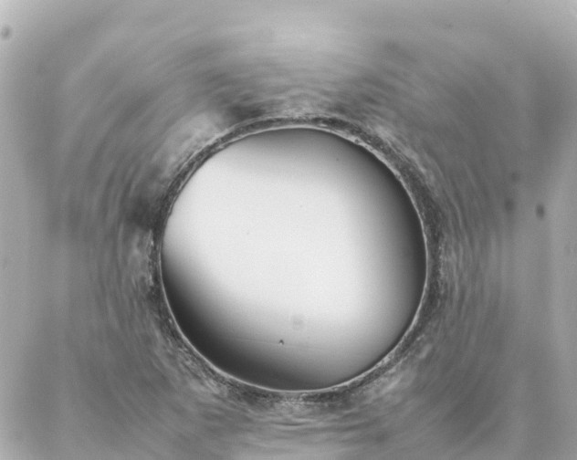 X0000086991265200704231836