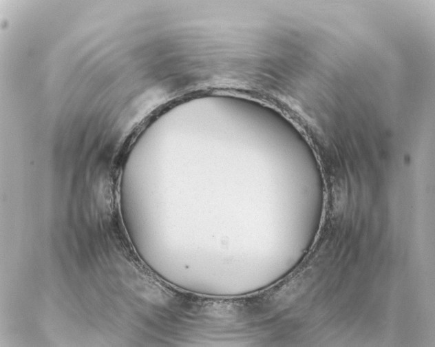 X0000086991266200704231836