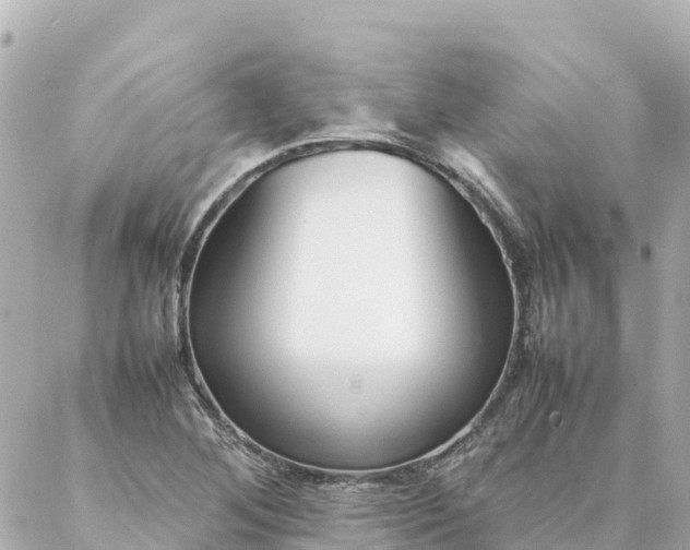 X0000086991268200704231836