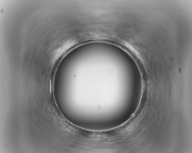 X0000086991269200704231836