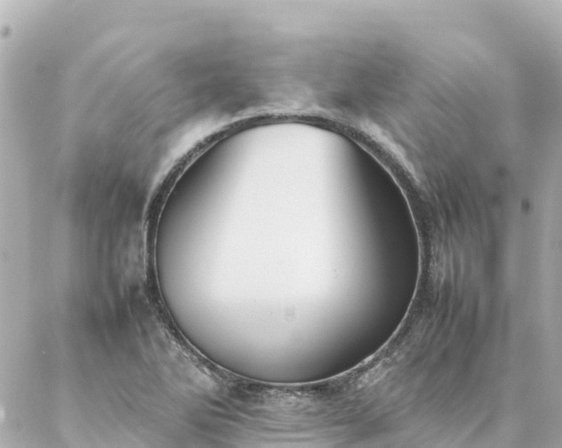 X0000086991270200704231836