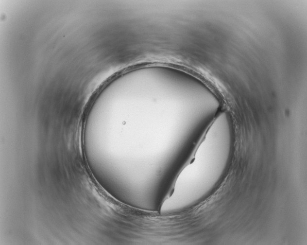 X0000086991272200704231836