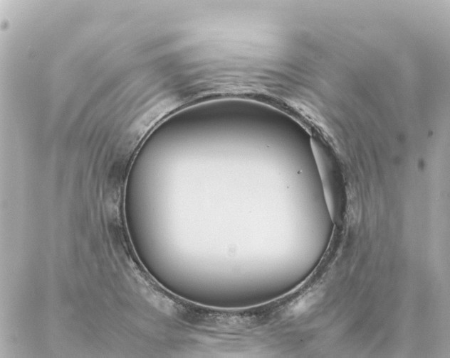 X0000086991273200704231836