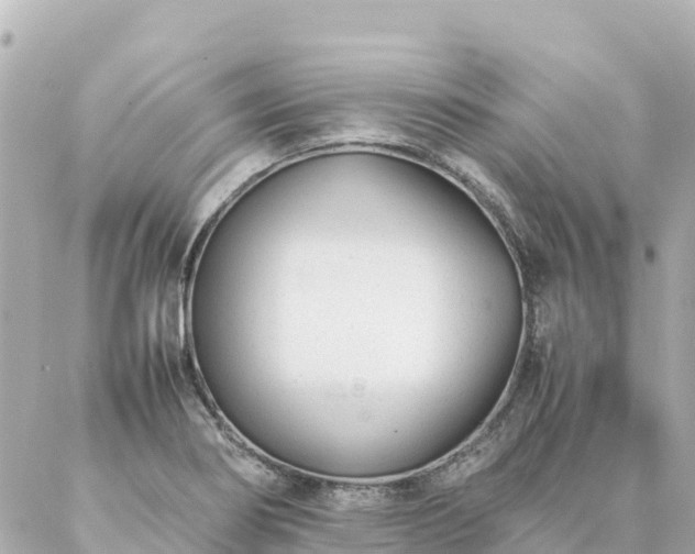 X0000086991274200704231836