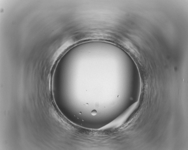 X0000086991275200704231836