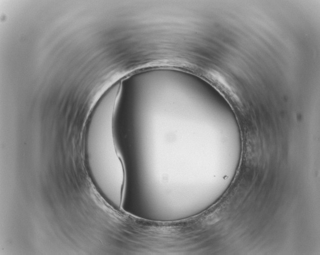 X0000086991276200704231836