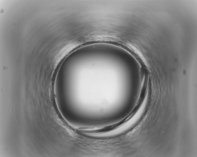 X0000086991277200704231836