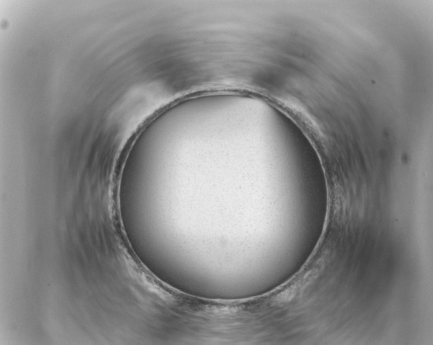 X0000086991278200704231836