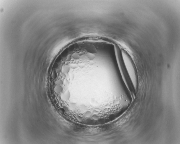 X0000086991279200704231836