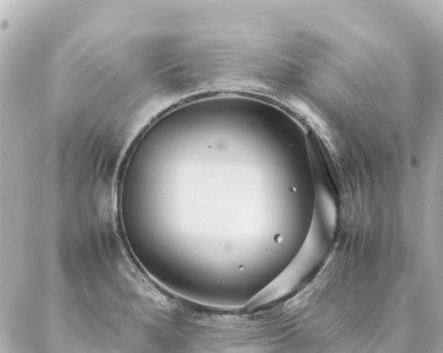 X0000086991280200704231836