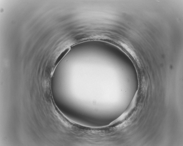 X0000086991281200704231836