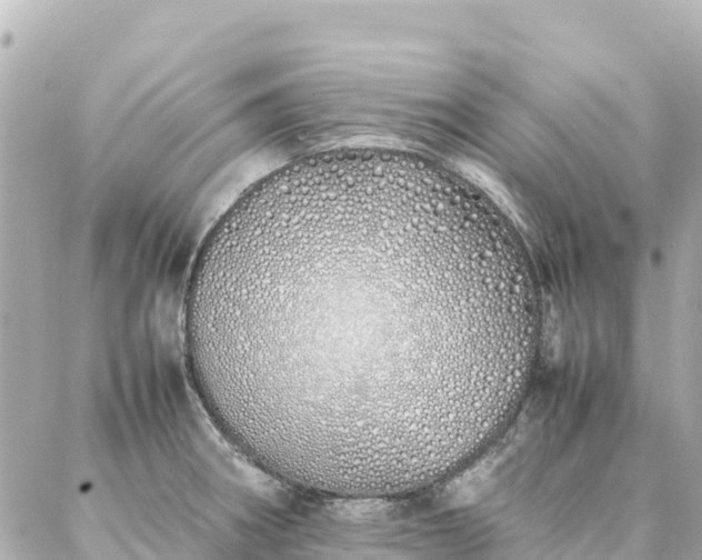 X0000086991282200704231836