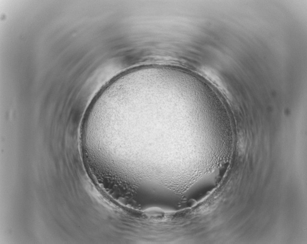 X0000086991283200704231836