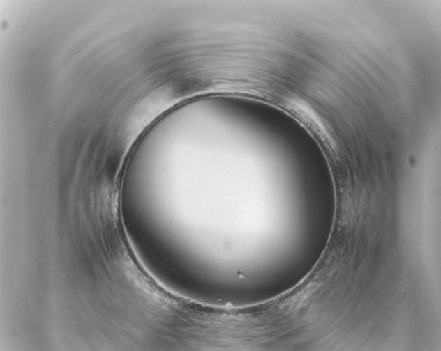 X0000086991284200704231836