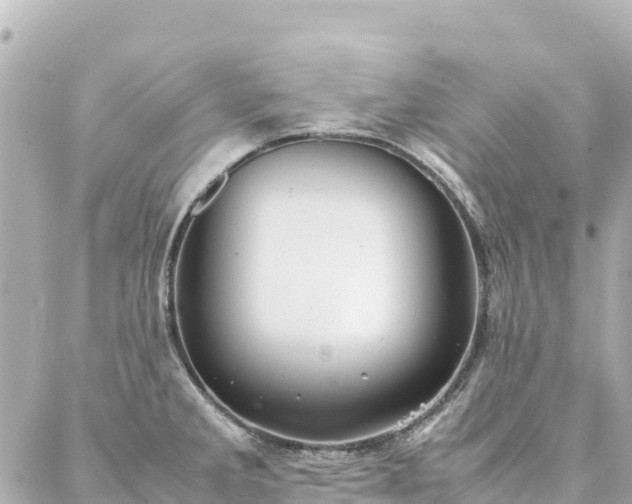 X0000086991285200704231836