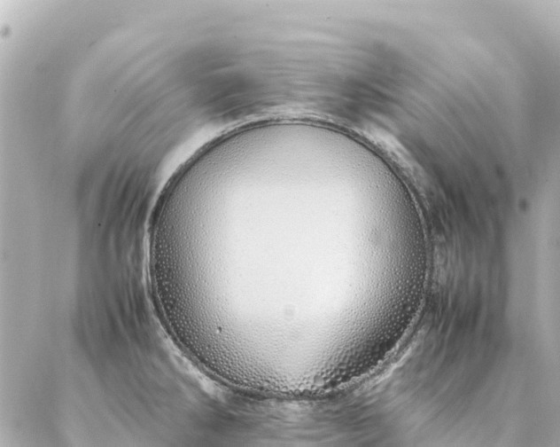 X0000086991286200704231835