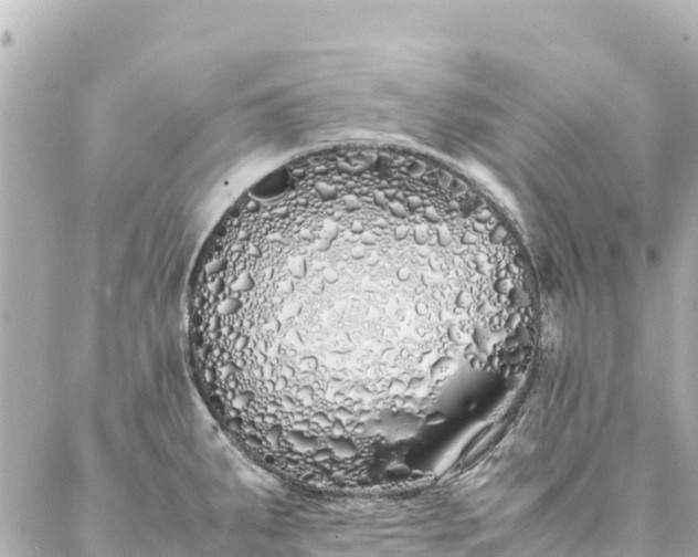 X0000086991287200704231835