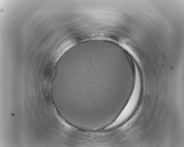 X0000086991289200704231835